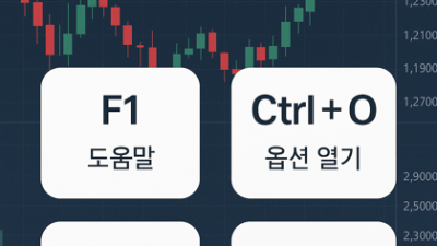 MT5 단축키 정리 핵심 모음