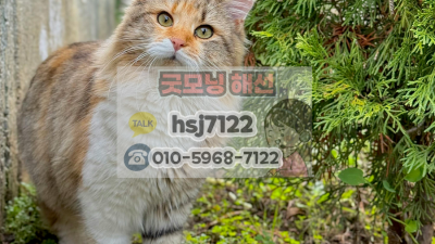 해외선물 수익: 소액 투자 성공 3단계 전략