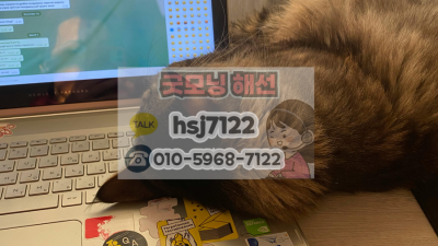 해외선물 전략, 위아래 다 먹는 양방향 스킬 3