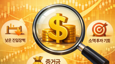 미니계좌란 해외선물 소액 거래 안전 업체 비교