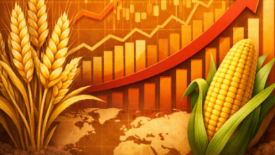 에그플레이션 대응: 농산물 선물 거래 가이드